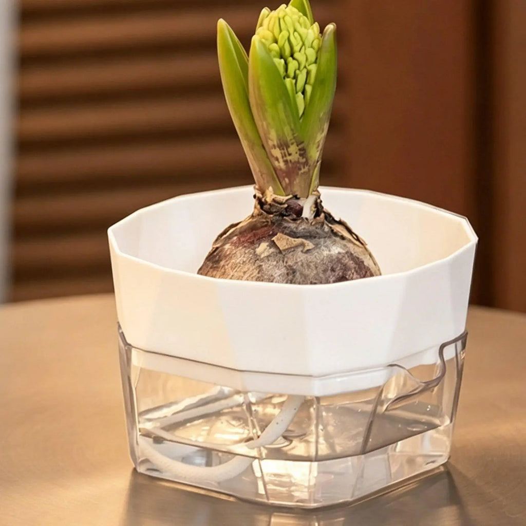 Hydroponic Vase Two Layer Self Watering Planter Clear PET Plant Pot Indoor Garden Supply for Decorative Use