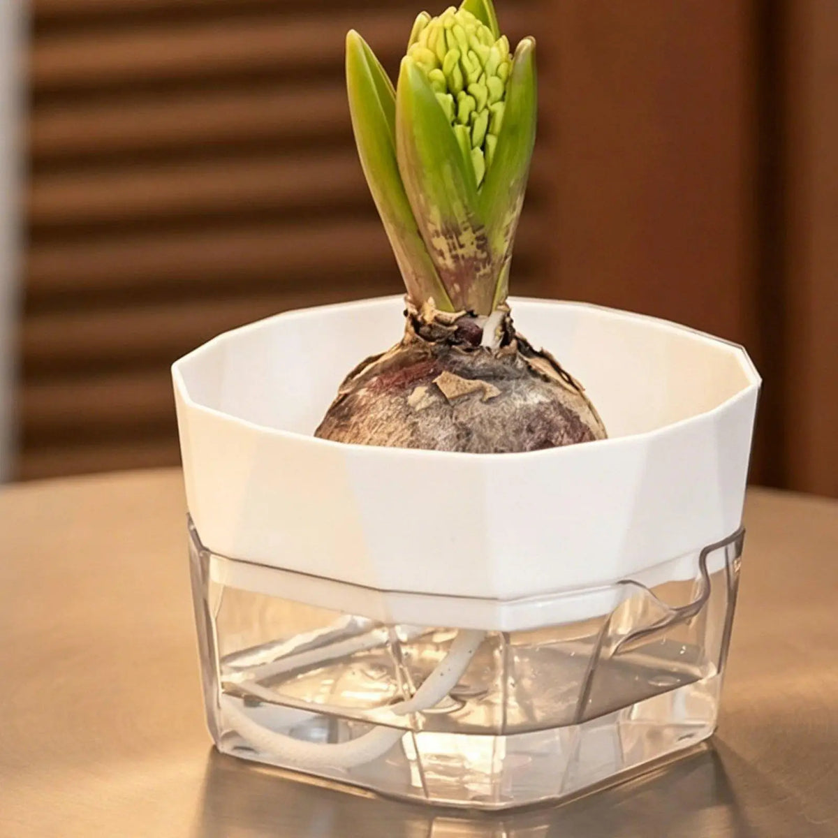 Hydroponic Vase Two Layer Self Watering Planter Clear PET Plant Pot Indoor Garden Supply for Decorative Use