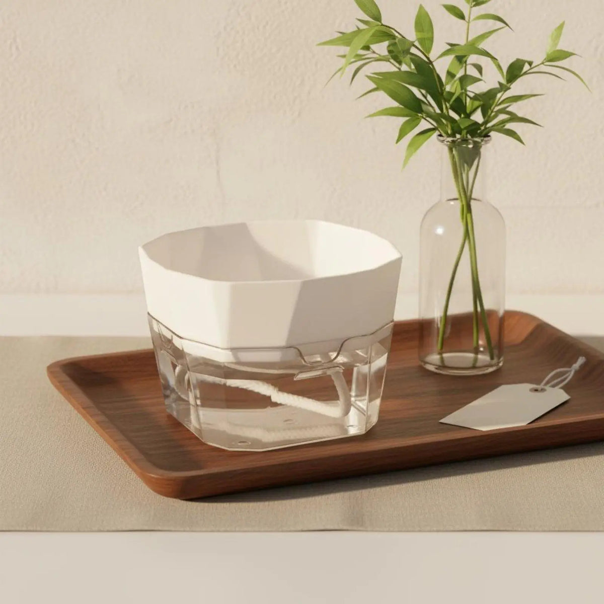 Hydroponic Vase Two Layer Self Watering Planter Clear PET Plant Pot Indoor Garden Supply for Decorative Use