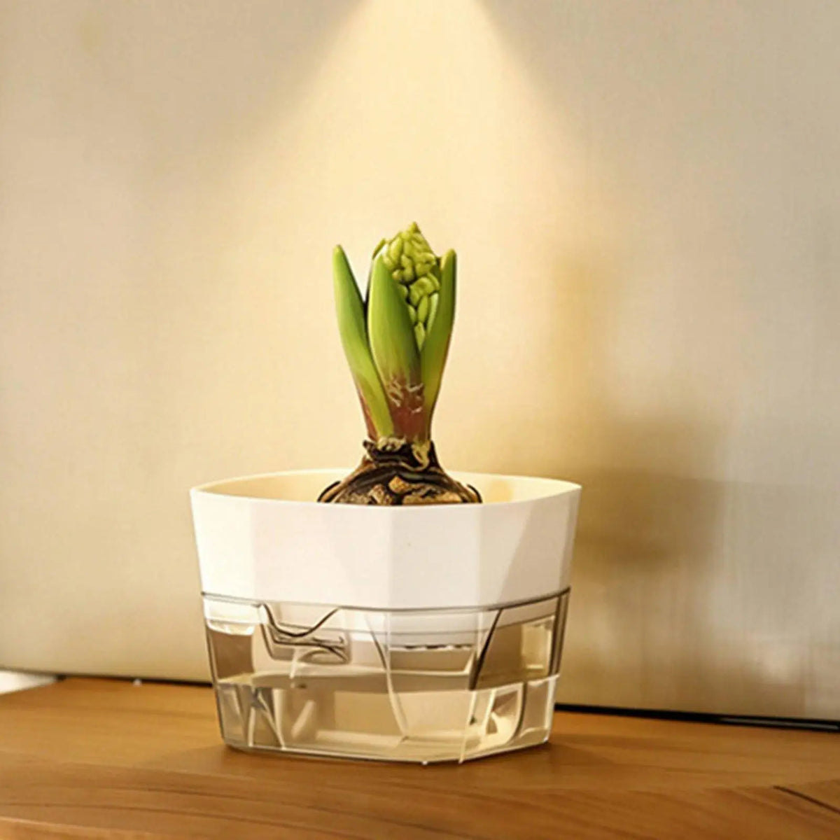 Hydroponic Vase Two Layer Self Watering Planter Clear PET Plant Pot Indoor Garden Supply for Decorative Use